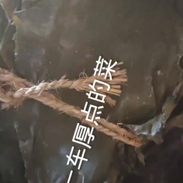 大连干海带上市了