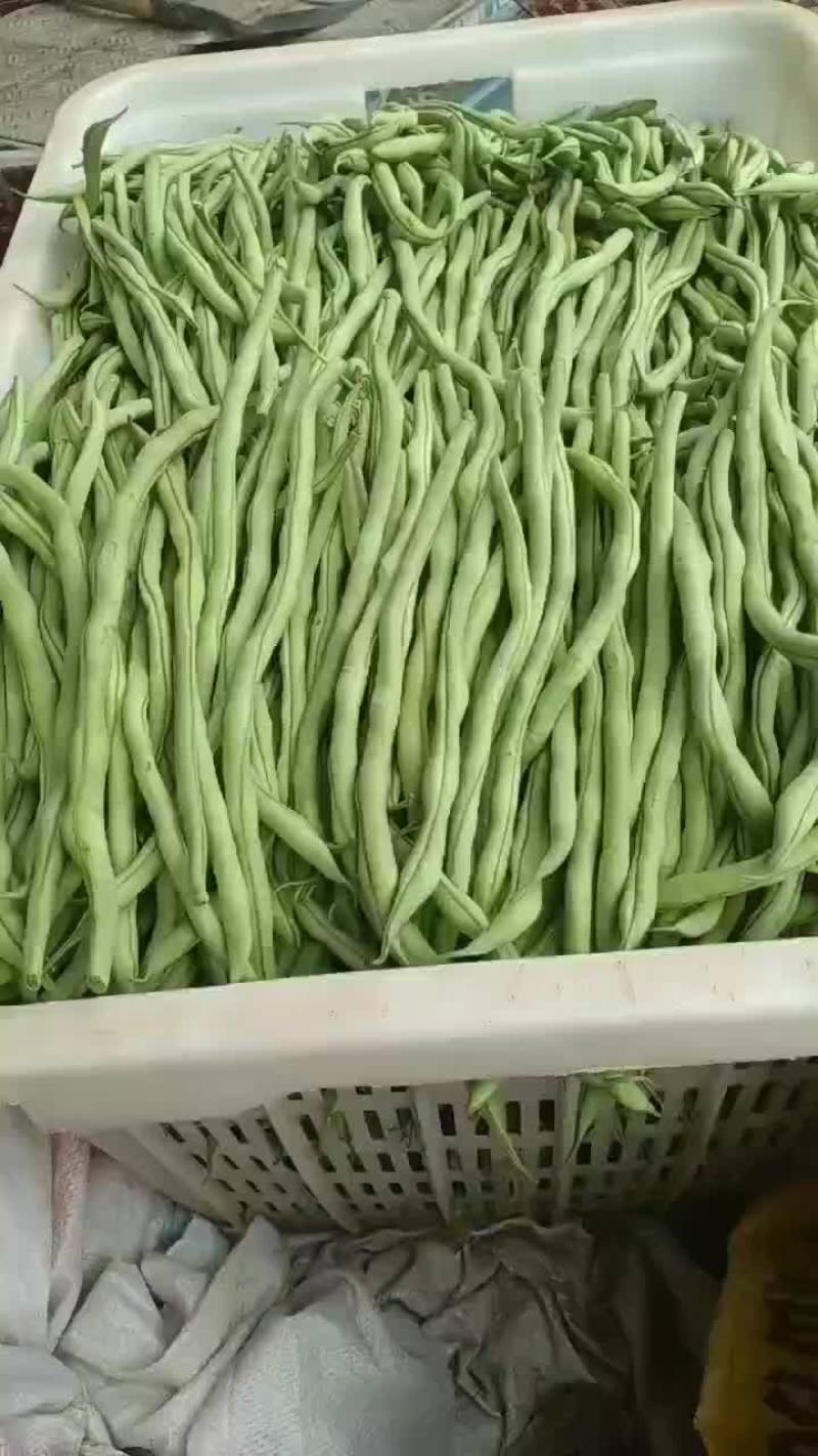 豆王