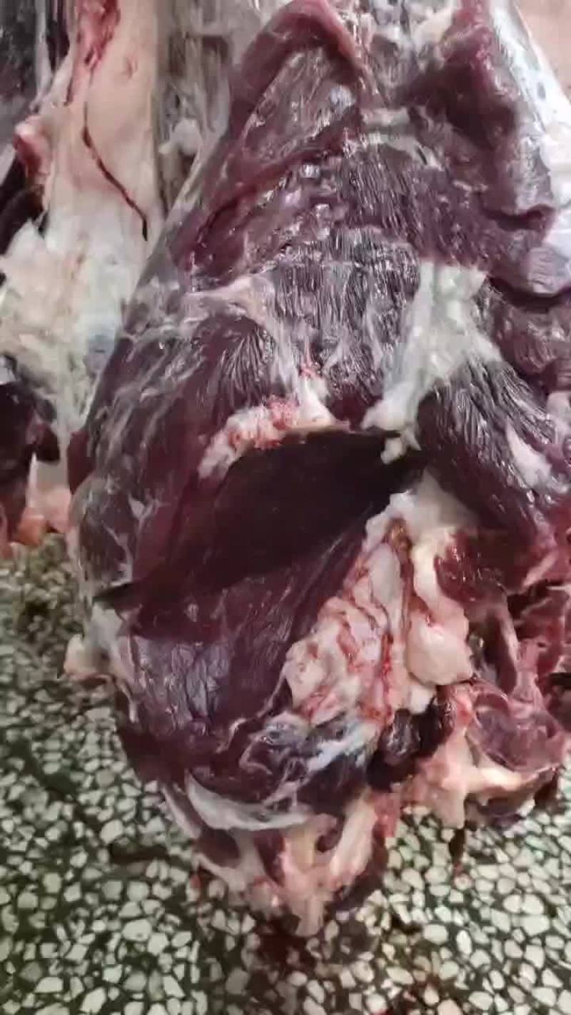 自养自销，大量批发鲜牛肉，各种部位可分割，无中间商