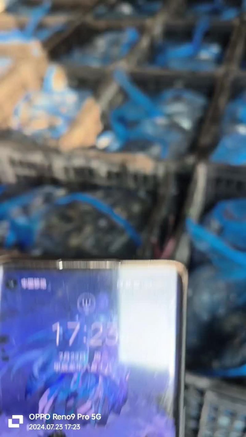 大量供应小河蟹