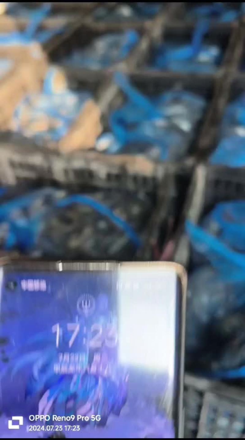 大量供应小河蟹