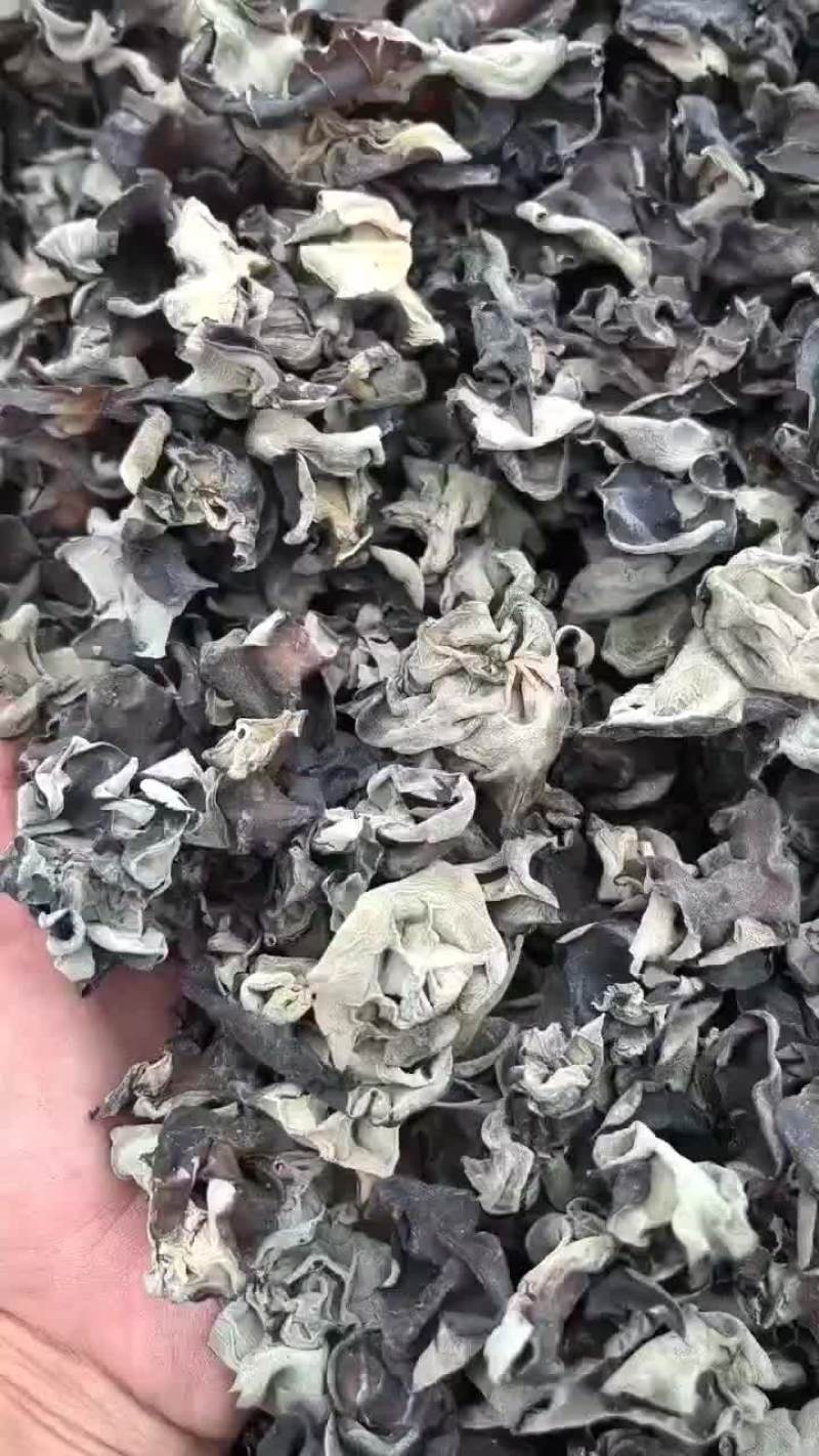 东北黑木耳源头货源，供应各种价位的黑木耳