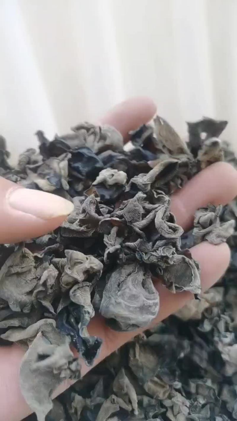 东北黑木耳源头货源，供应各种价位的黑木耳
