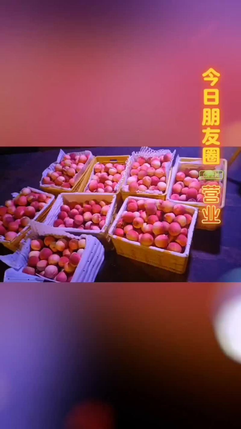 北京七号桃