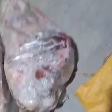 扒皮马头，价格低，质量好出货中