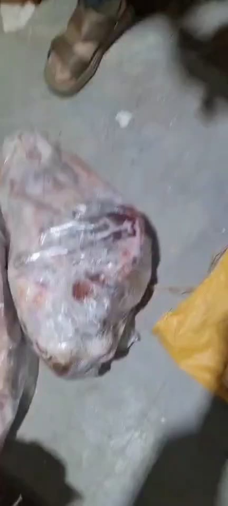 扒皮马头，价格低，质量好出货中