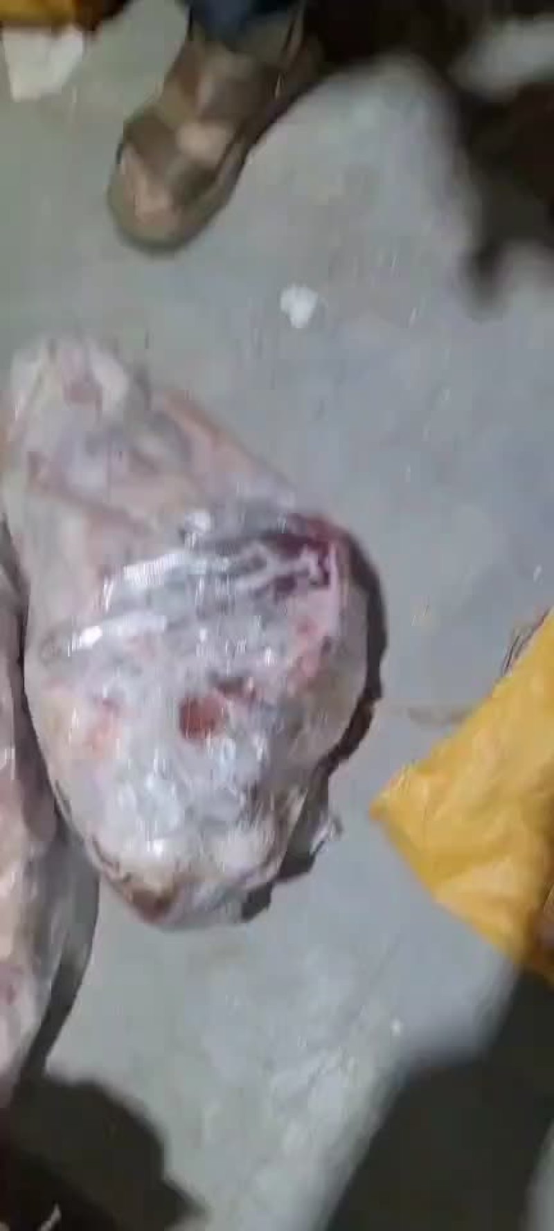 扒皮马头，价格低，质量好出货中