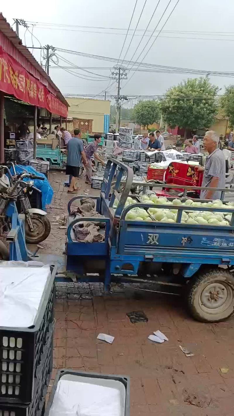 膜代皇冠