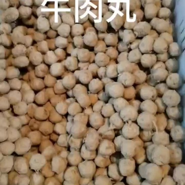 肉丸子