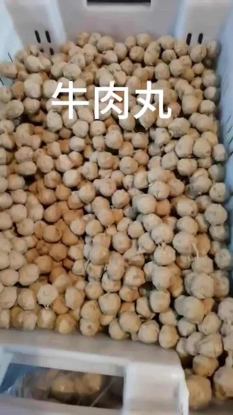 肉丸子