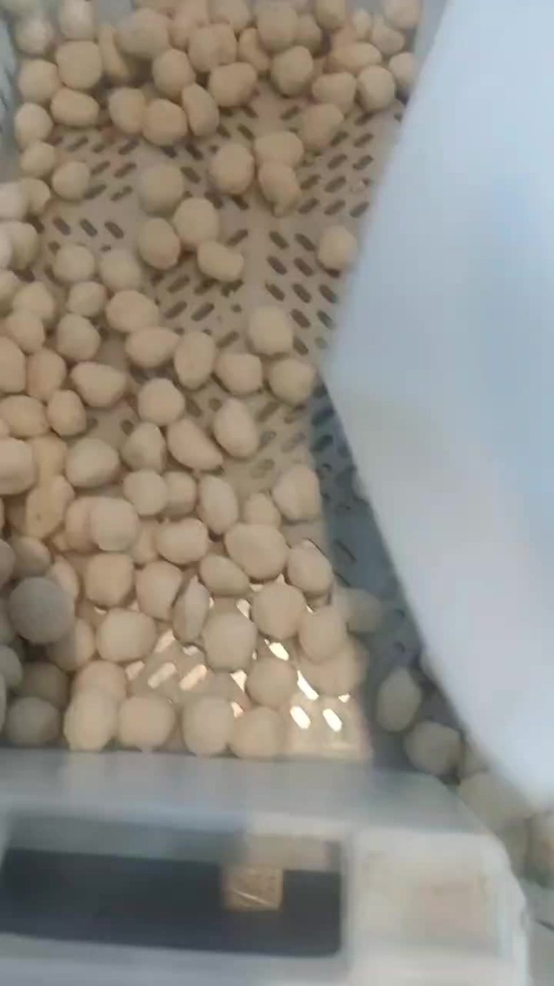 肉丸子