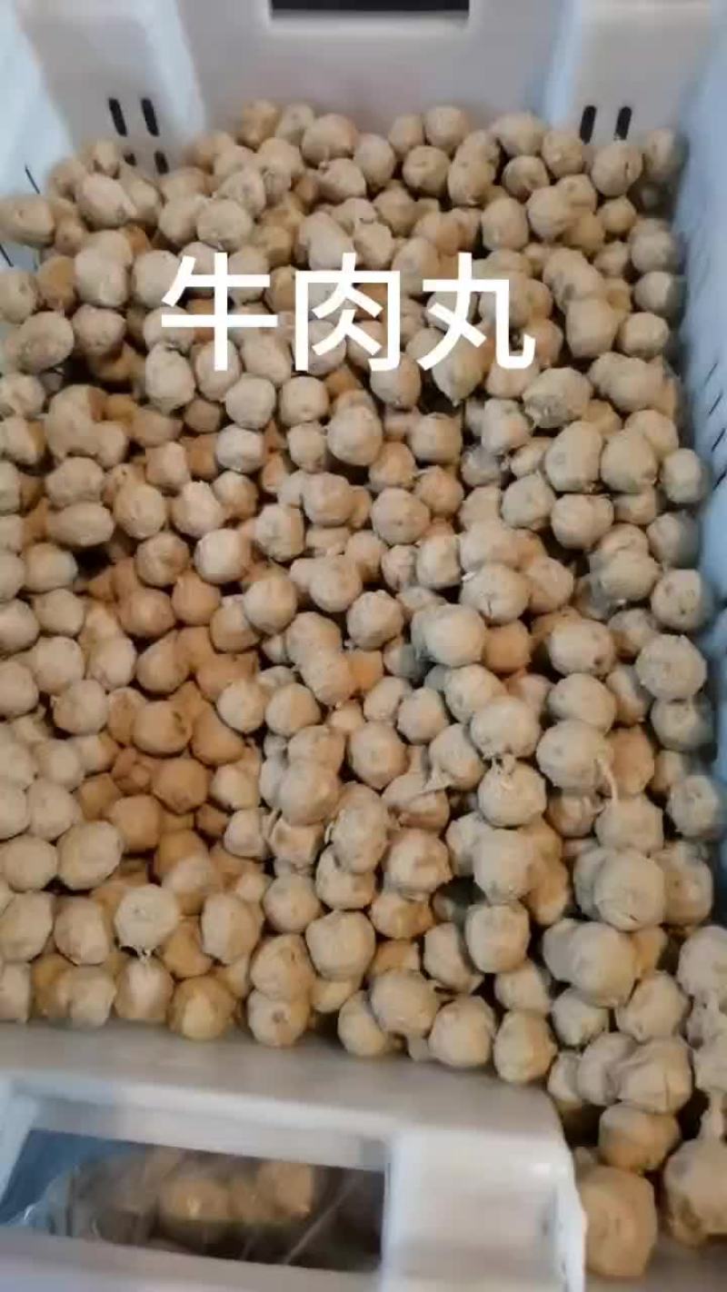 肉丸子