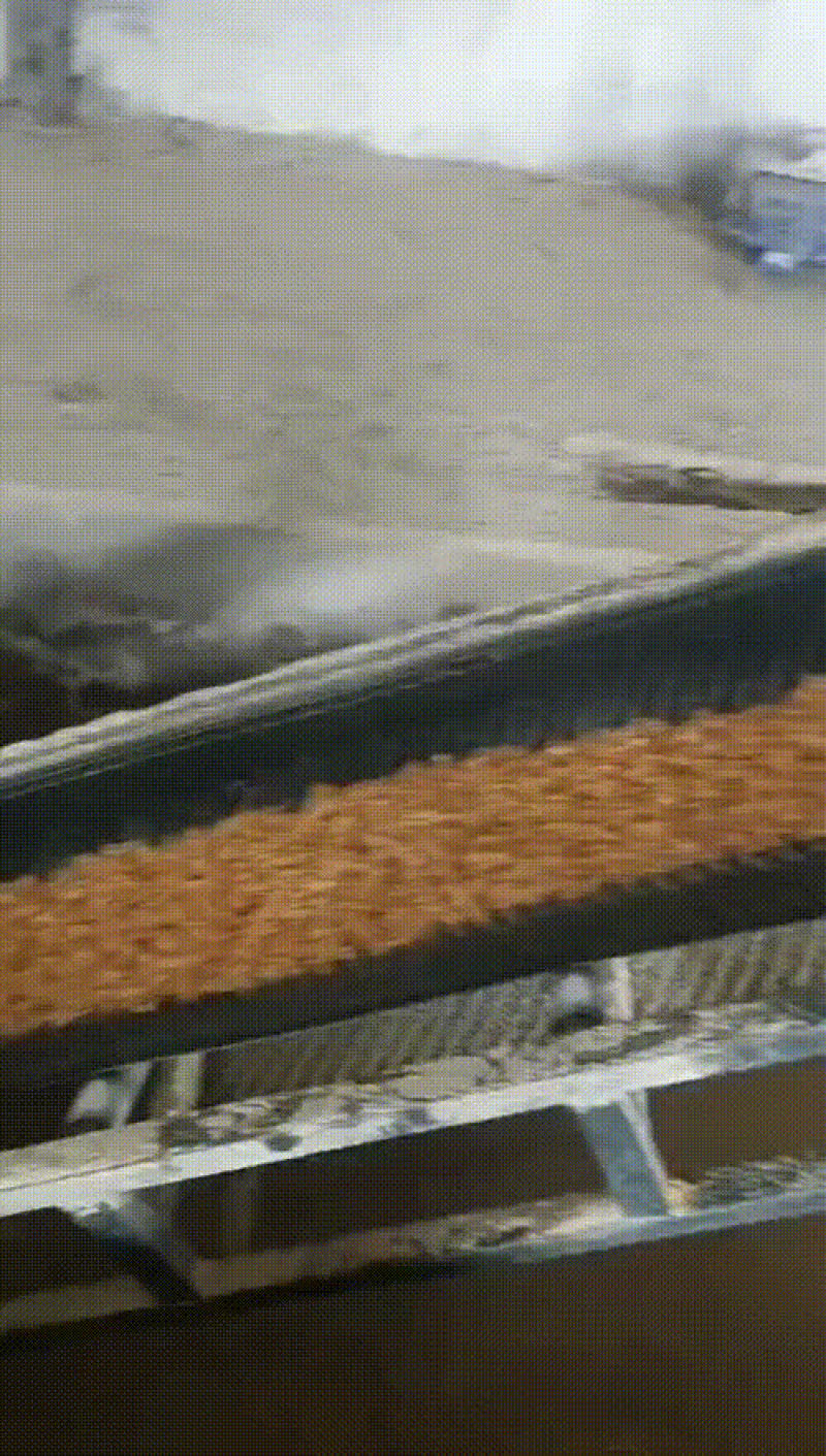 玉米压片