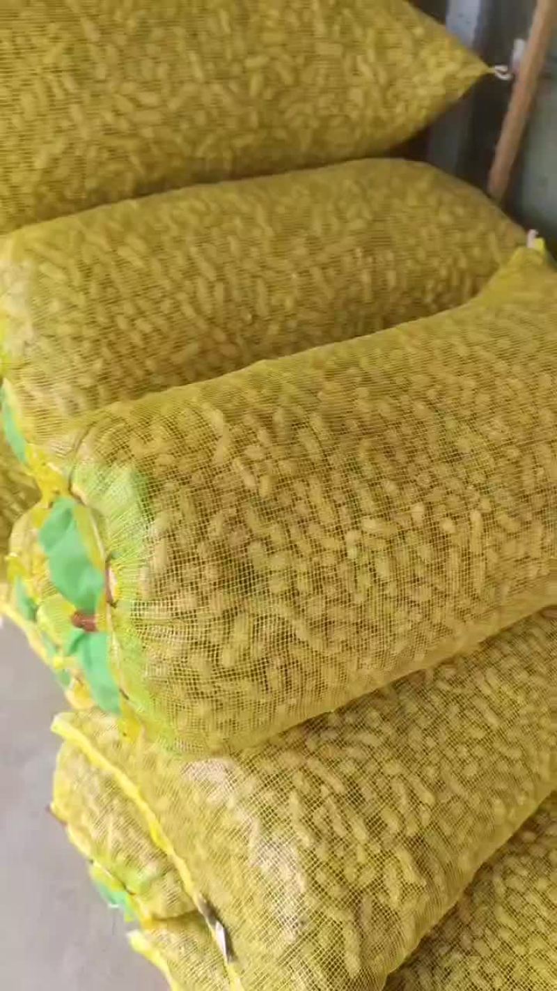 花生