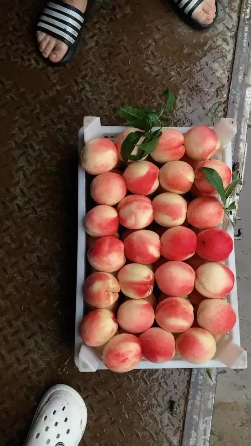 北京14号质量好价格优