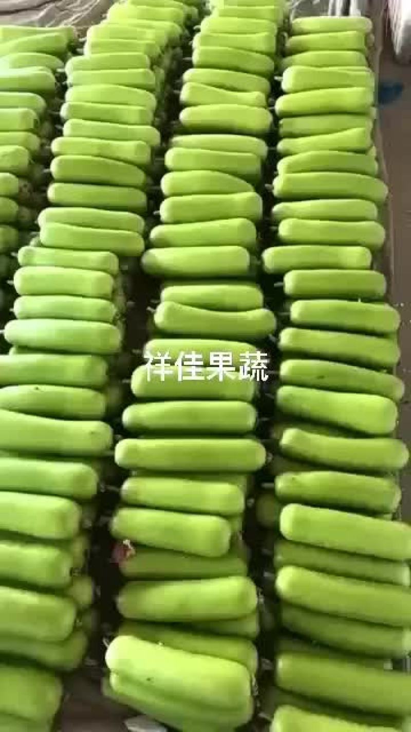 精品瓠子，大量有货，产地直发，货源充足