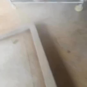 无菌冻干蝇蛆，鱼虾蟹优质蛋白源