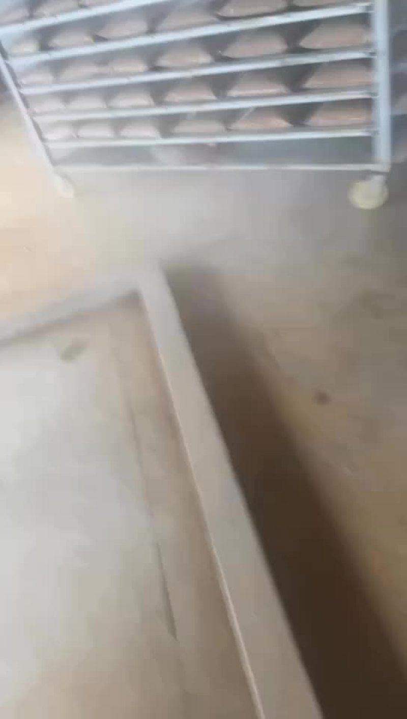 无菌冻干蝇蛆，鱼虾蟹优质蛋白源