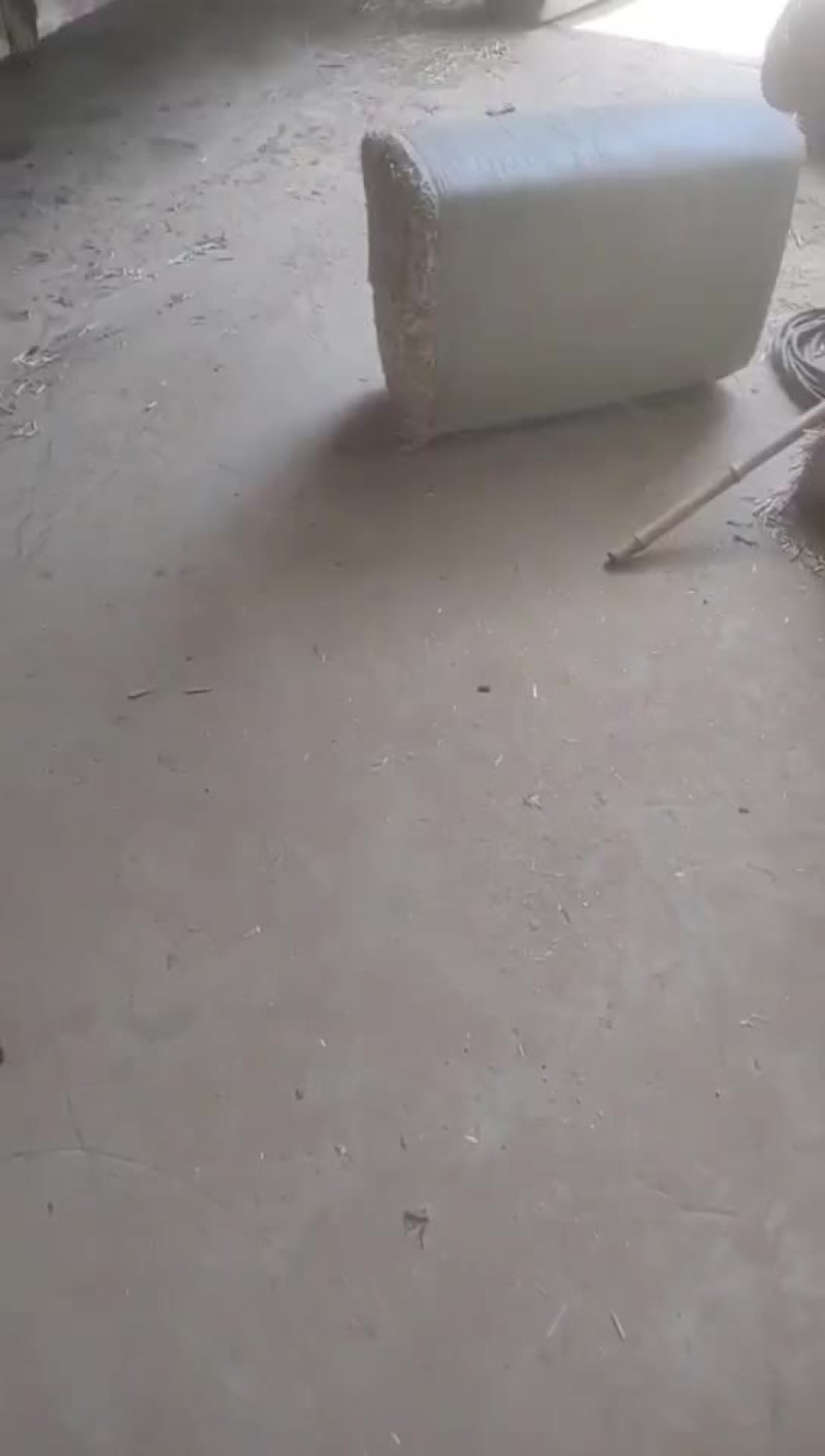 柔丝除尘小套袋麦秸