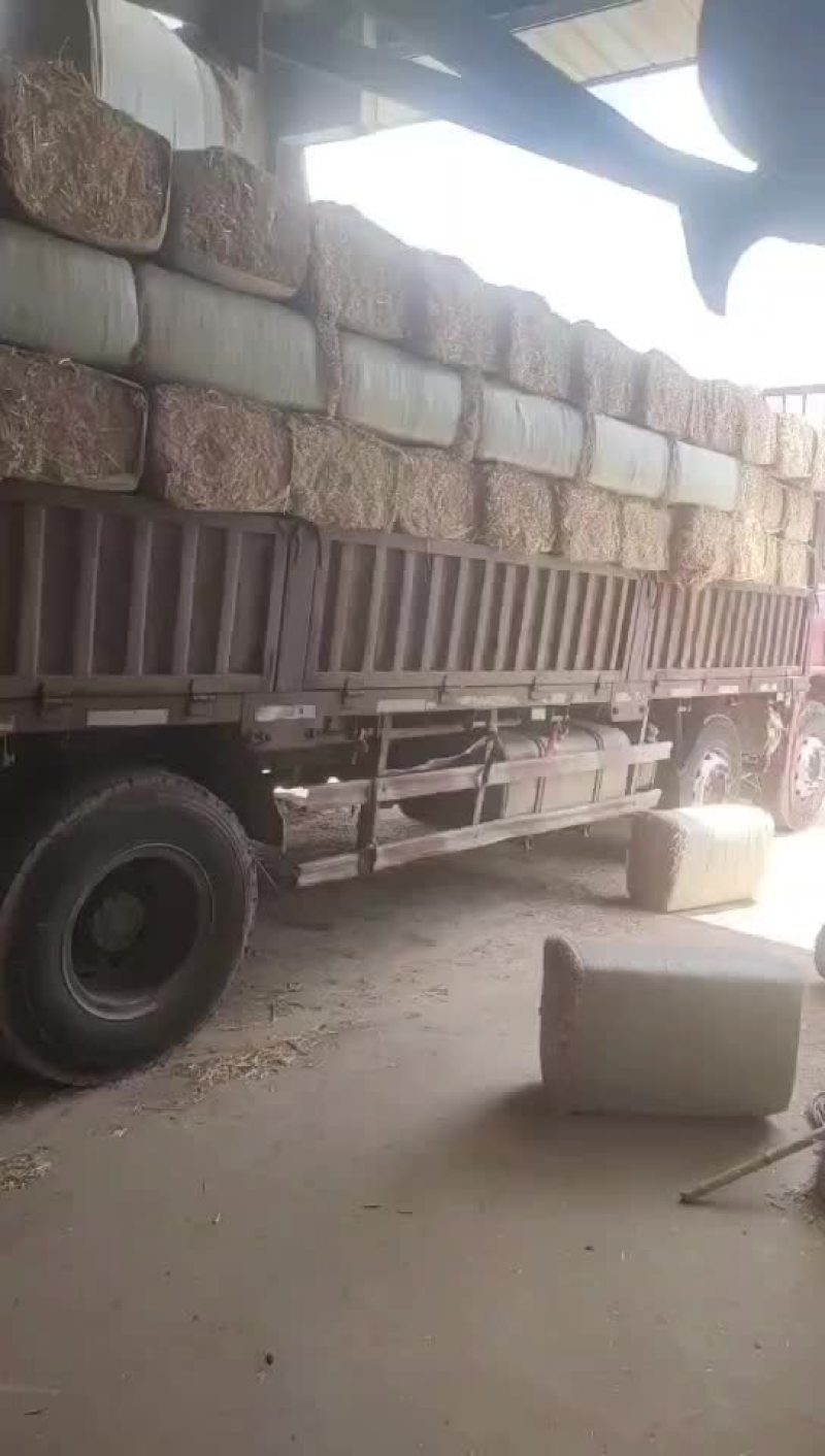 柔丝除尘小套袋麦秸