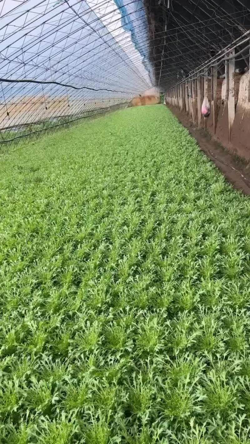 这时候好不好您说的算
