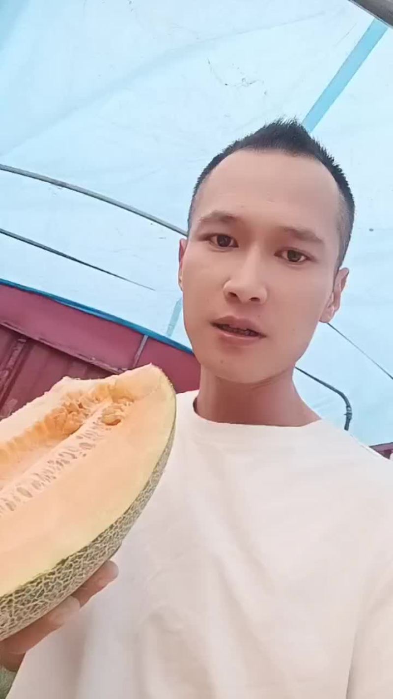 西周蜜17