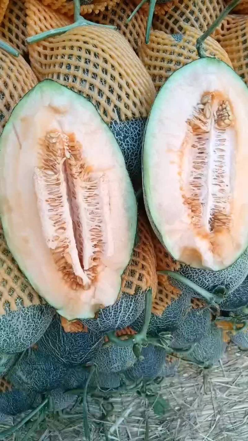 西周蜜17