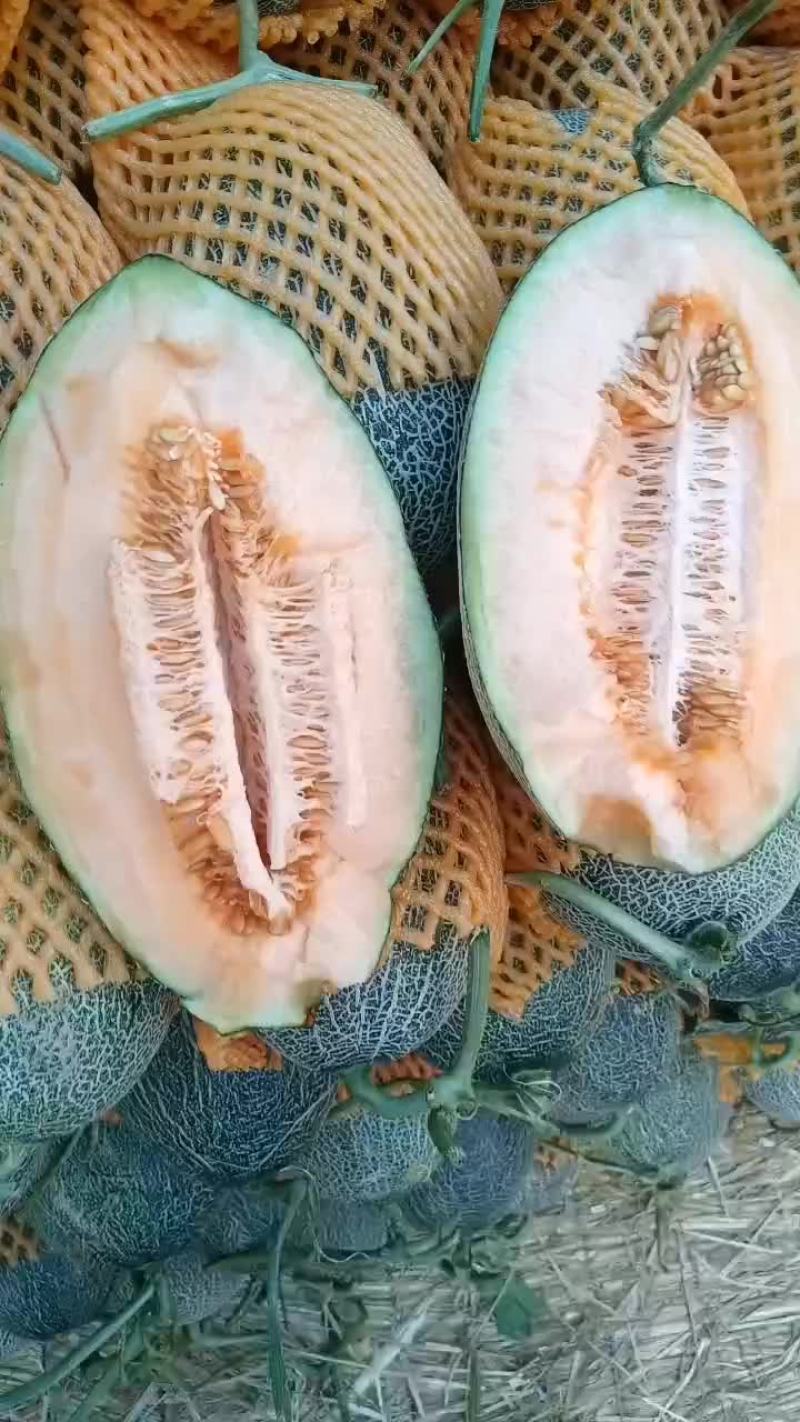 西周蜜17
