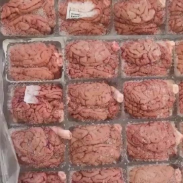 品名:肥猪脑花规格:96个箱装，单冻，带箱