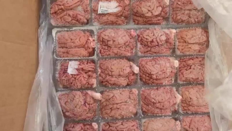 品名:肥猪脑花规格:96个箱装，单冻，带箱