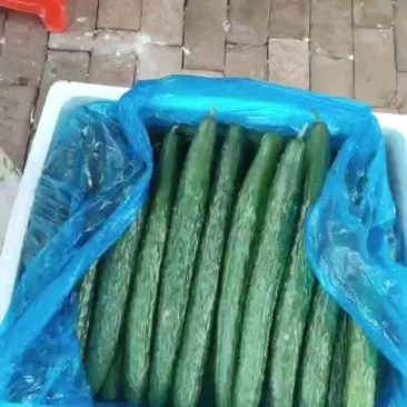 黄瓜