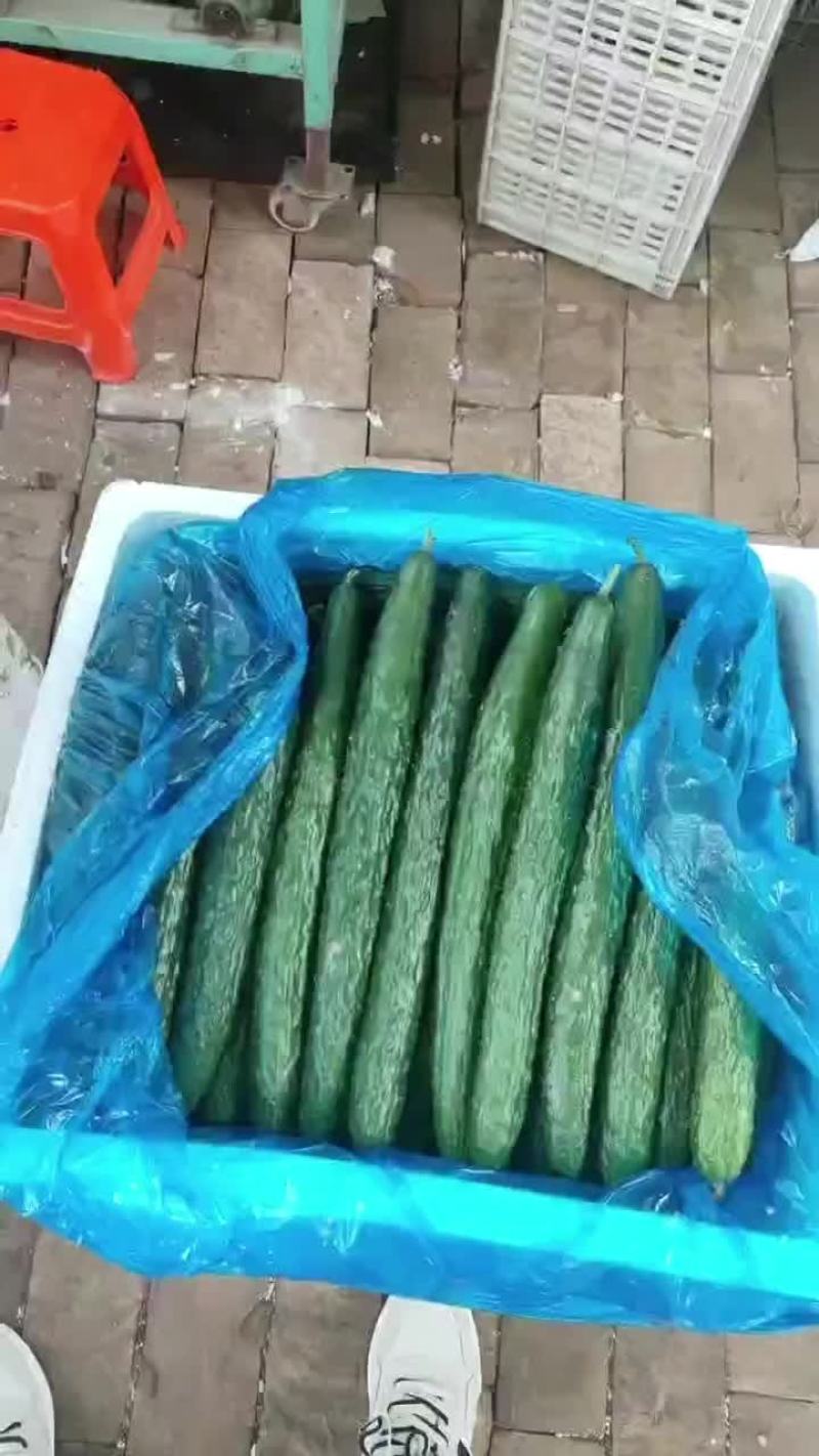 黄瓜