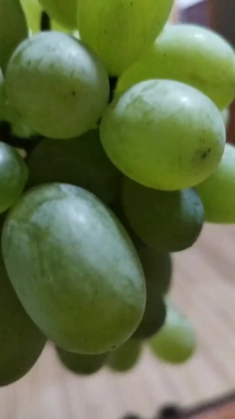 青提