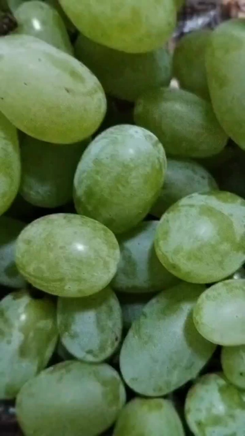 青提