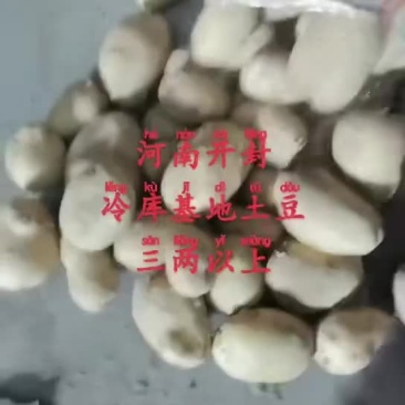 精品黄心土豆