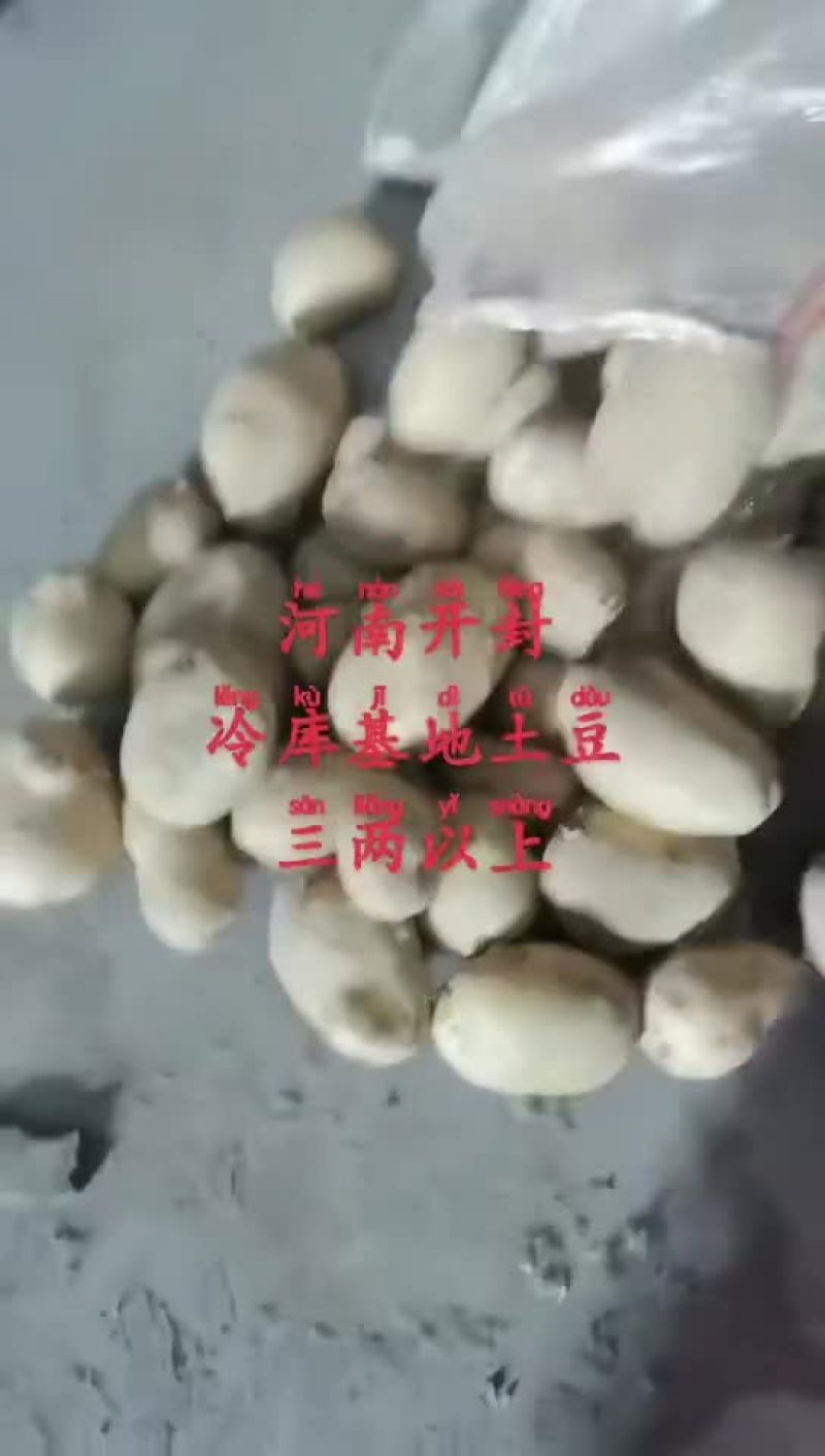 精品黄心土豆