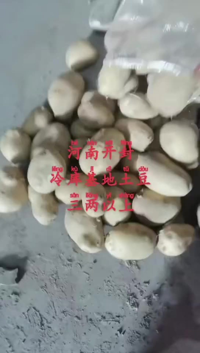 精品黄心土豆