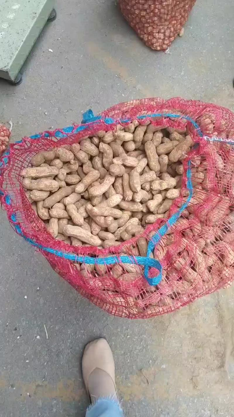 鲜花生