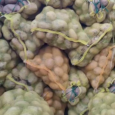 要的速度