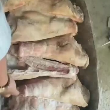 山东存货7片鸿运当头40吨