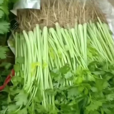 香芹