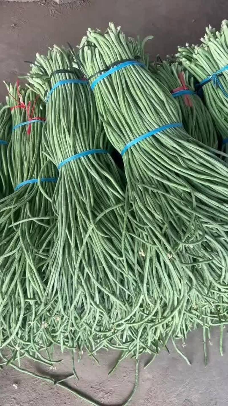 长豆角长缸豆