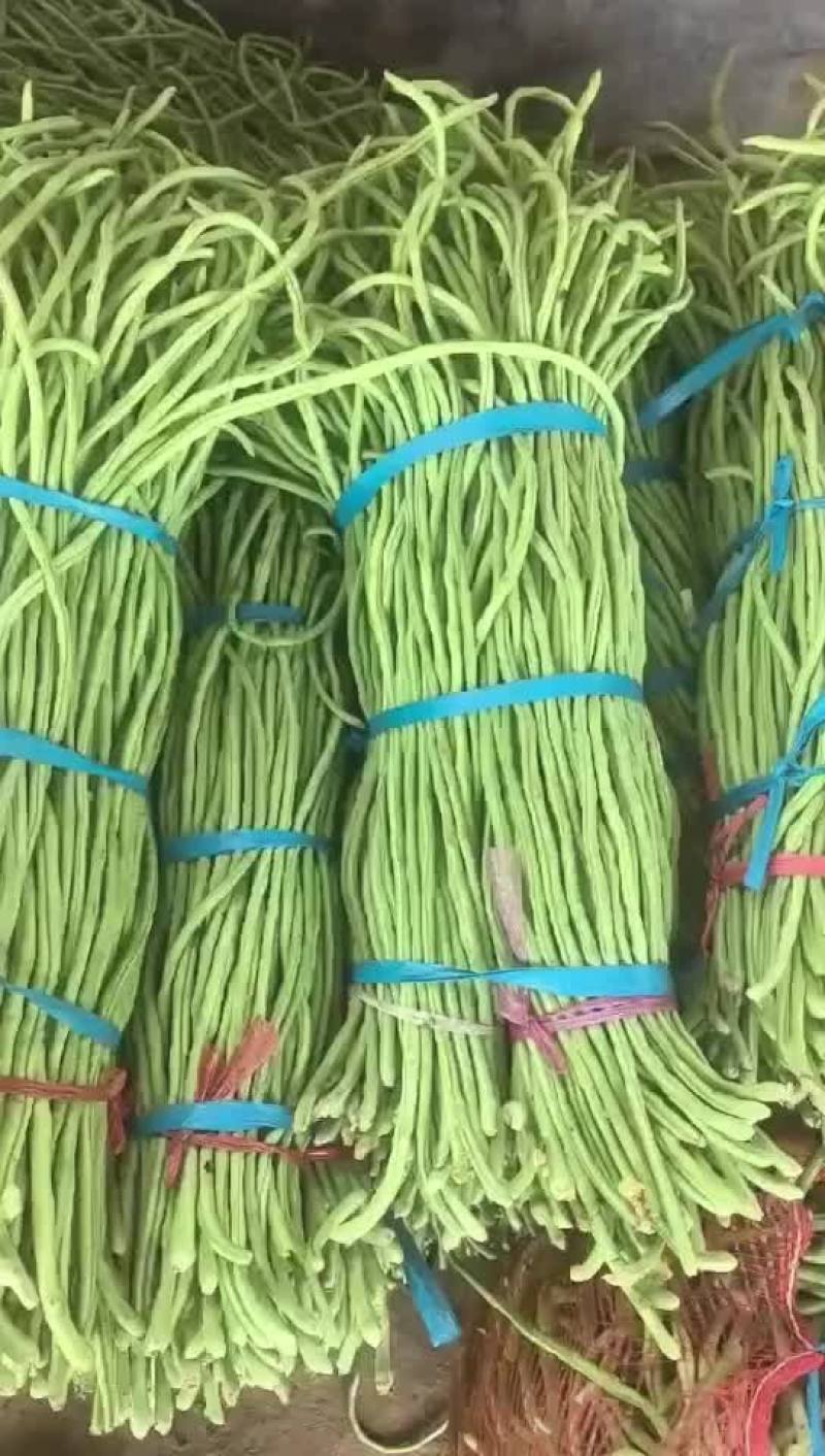 长豆角长缸豆