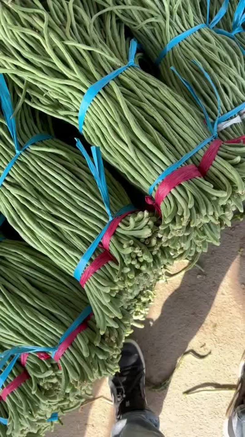 长豆角长缸豆