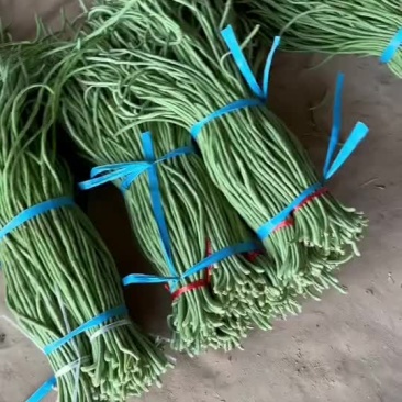 长豆角长缸豆