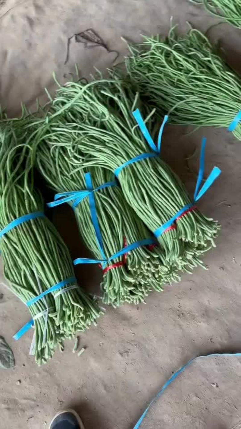 长豆角长缸豆