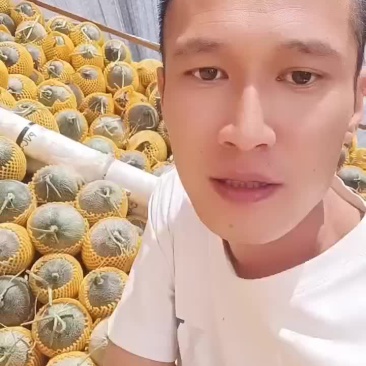 西周蜜