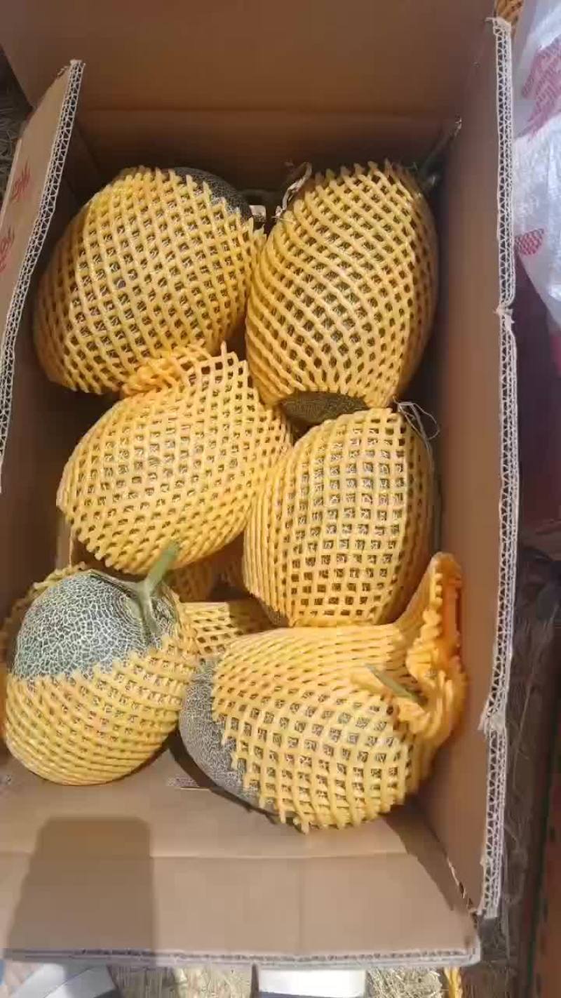 西周蜜