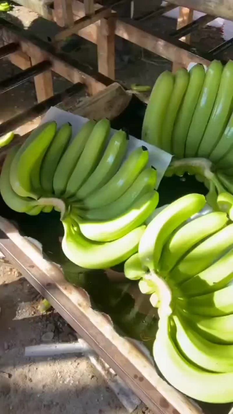 香蕉
