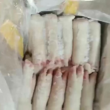 猪蹄22-26个